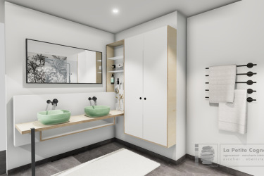 Salle_de_bain_RDC_Salle_de_bain_RDC (2).jpg